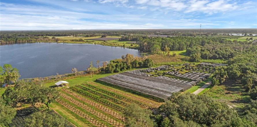 Terreno en Seville, Florida № 1429176