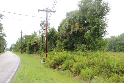 Terreno en venta en Pierson, Florida № 1301249 - foto 4