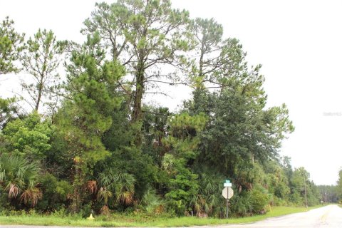 Terreno en venta en Pierson, Florida № 1301249 - foto 1