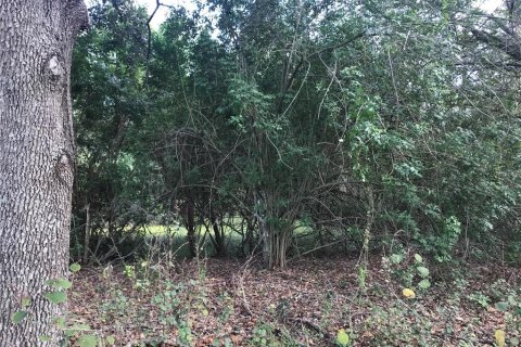 Terreno en venta en Riverview, Florida № 1297364 - foto 12