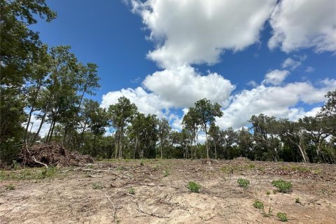 Land in Micanopy, Florida № 1367877 - photo 15