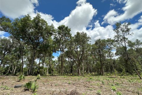 Terreno en venta en Micanopy, Florida № 1367877 - foto 16