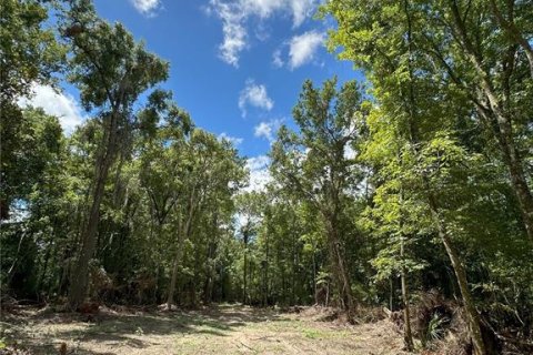 Terreno en venta en Micanopy, Florida № 1367877 - foto 19