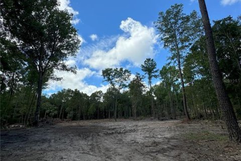 Land in Micanopy, Florida № 1367877 - photo 11