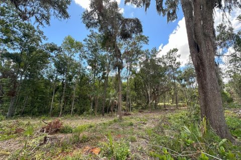 Terreno en venta en Micanopy, Florida № 1367877 - foto 14