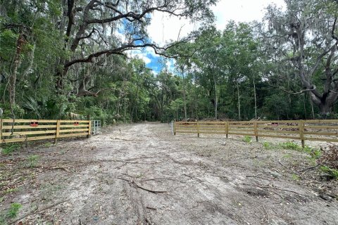 Terreno en venta en Micanopy, Florida № 1367877 - foto 2