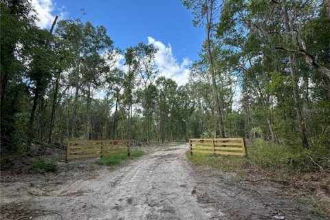 Terreno en venta en Micanopy, Florida № 1367877 - foto 10