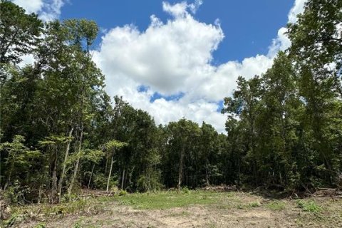 Land in Micanopy, Florida № 1367877 - photo 18