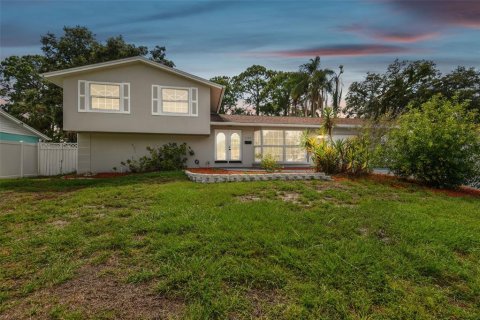 Villa ou maison à vendre à Tampa, Floride: 5 chambres, 263.47 m2 № 1251396 - photo 2