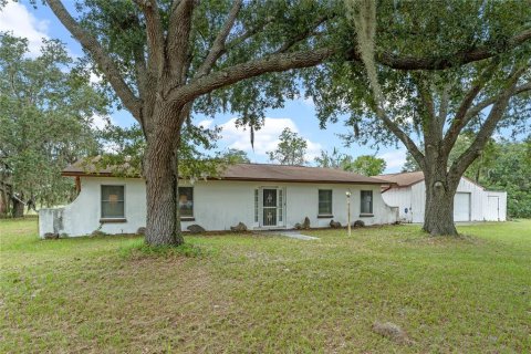 Land in Chuluota, Florida № 1368480 - photo 19