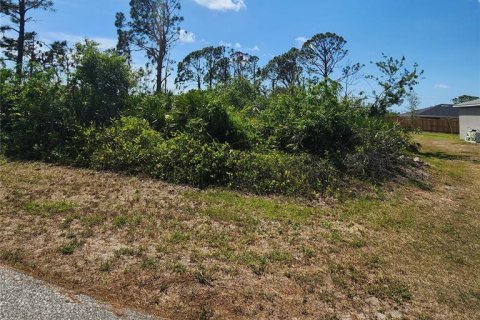 Купить земельный участок в Порт-Шарлотт, Флорида № 410258 - фото 2