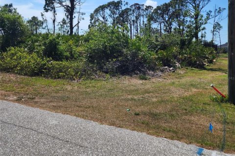 Купить земельный участок в Порт-Шарлотт, Флорида № 410258 - фото 3