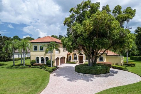 Villa ou maison à vendre à Lutz, Floride: 4 chambres, 331.2 m2 № 1324729 - photo 1