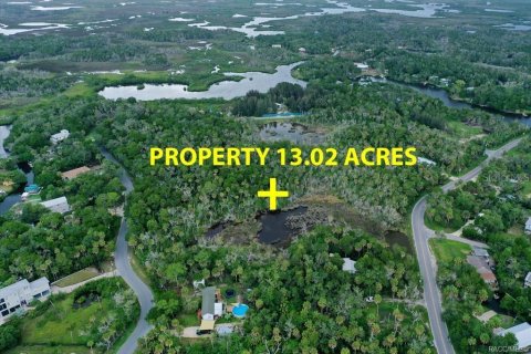 Terreno en venta en Crystal River, Florida № 1324727 - foto 3