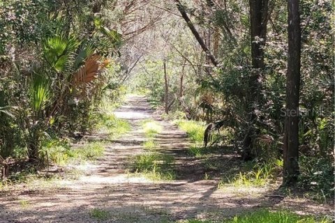 Land in Crystal River, Florida № 1324727 - photo 7