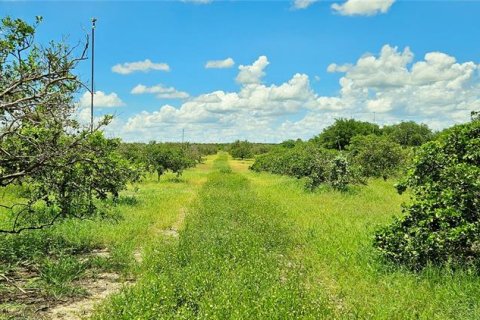 Terreno en venta en Frostproof, Florida № 1277907 - foto 2