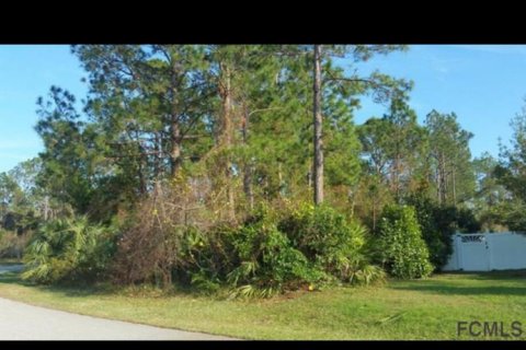 Land in Palm Coast, Florida № 770754 - photo 10