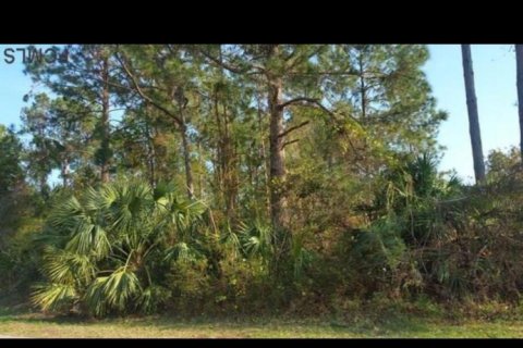 Land in Palm Coast, Florida № 770754 - photo 9