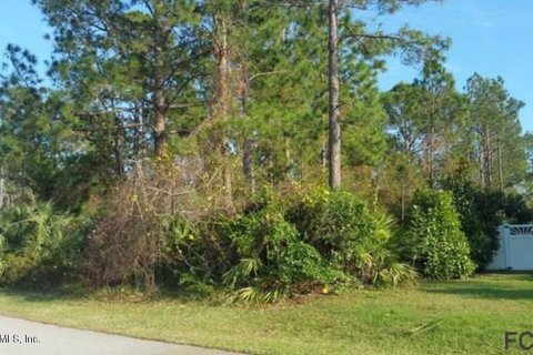 Купить земельный участок в Палм-Кост, Флорида № 770754 - фото 2