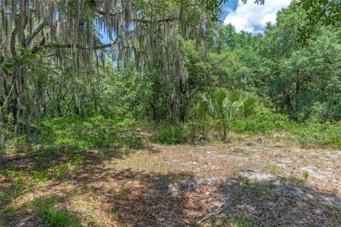 Terreno en venta en Sanford, Florida № 1376603 - foto 23