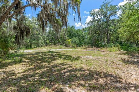 Terreno en venta en Sanford, Florida № 1376603 - foto 30