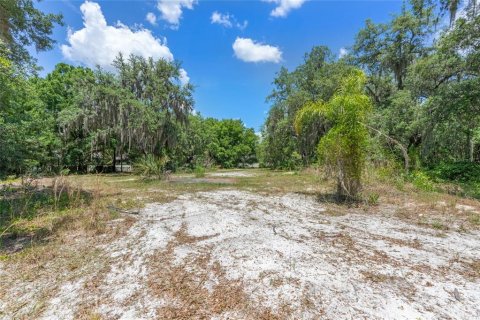 Land in Sanford, Florida № 1376603 - photo 27