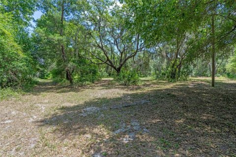 Land in Sanford, Florida № 1376603 - photo 29