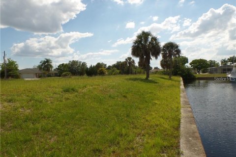 Land in Punta Gorda, Florida № 749298 - photo 3