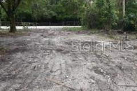 Terreno en venta en Tampa, Florida № 1394414 - foto 3