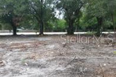 Terreno en venta en Tampa, Florida № 1394414 - foto 2