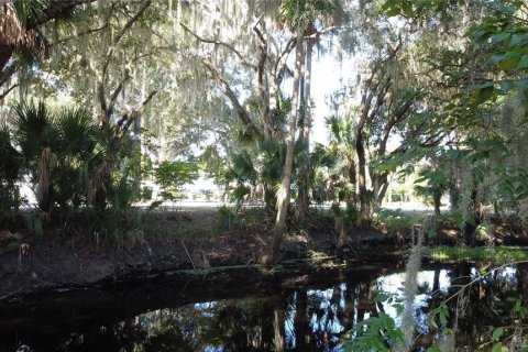 Land in DeLand, Florida № 690677 - photo 8