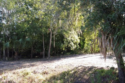 Land in DeLand, Florida № 690677 - photo 16