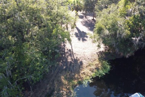 Land in DeLand, Florida № 690677 - photo 21