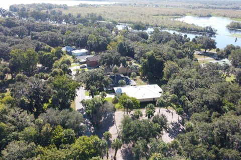 Land in DeLand, Florida № 690677 - photo 23