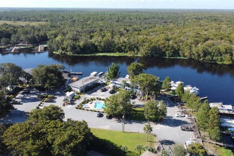 Land in DeLand, Florida № 690677 - photo 26