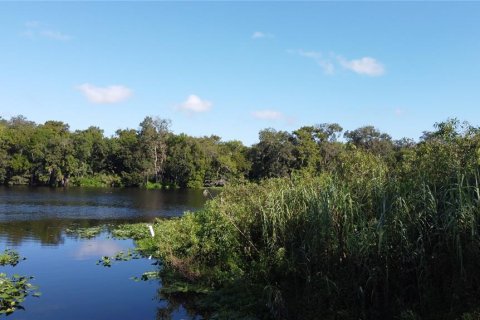 Land in DeLand, Florida № 690677 - photo 18