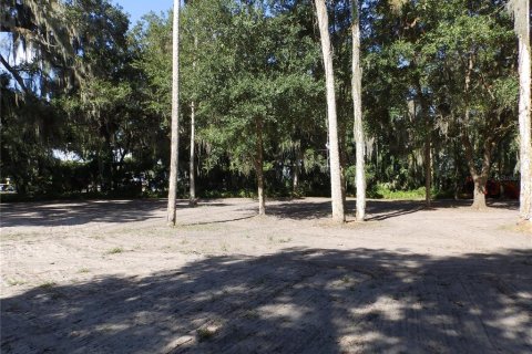 Land in DeLand, Florida № 690677 - photo 28