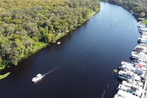 Land in DeLand, Florida № 690677 - photo 24