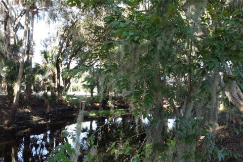 Land in DeLand, Florida № 690677 - photo 9