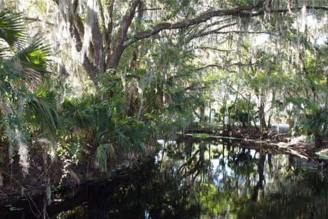 Land in DeLand, Florida № 690677 - photo 15