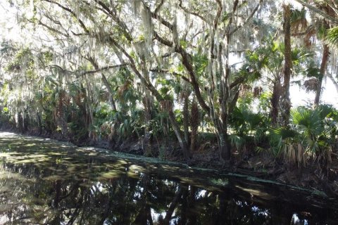 Land in DeLand, Florida № 690677 - photo 10