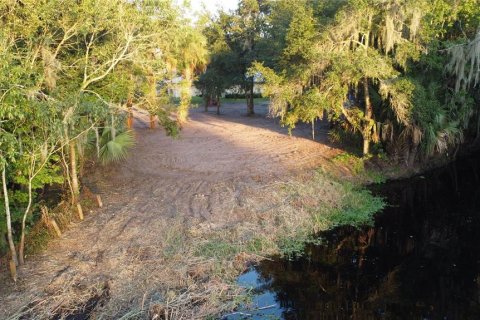 Land in DeLand, Florida № 690677 - photo 4