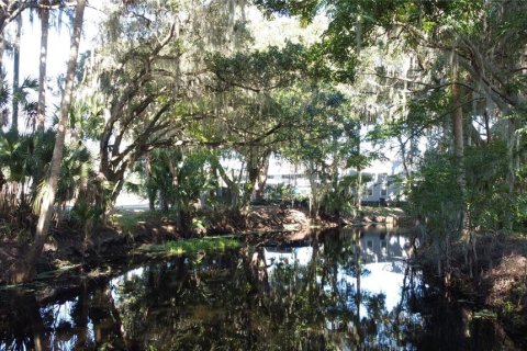 Land in DeLand, Florida № 690677 - photo 12