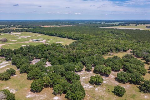 Terreno en venta en Morriston, Florida № 1408802 - foto 7