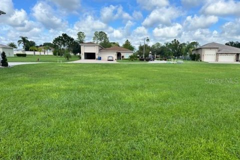 Land in Polk City, Florida № 1367782 - photo 2