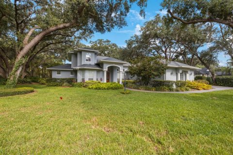 Villa ou maison à vendre à Tampa, Floride: 4 chambres, 350.43 m2 № 1247072 - photo 2