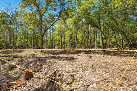 Terreno en venta en Orlando, Florida № 1105566 - foto 7