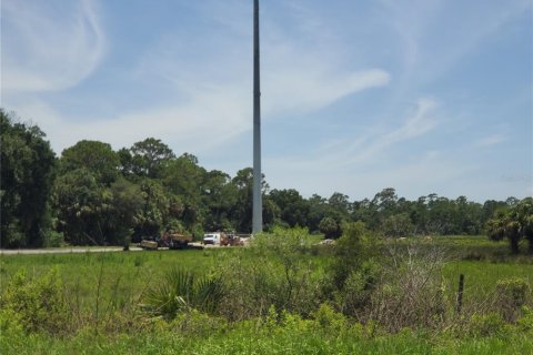 Terrain à vendre à Okeechobee, Floride № 1122445 - photo 4