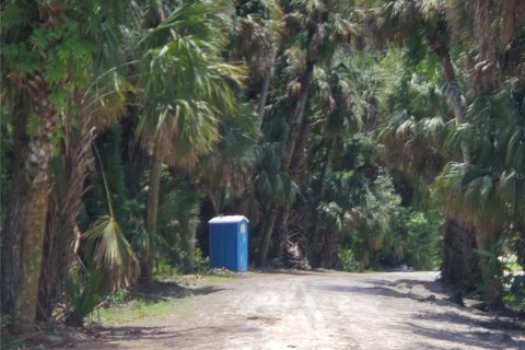 Terrain à vendre à Okeechobee, Floride № 1122445 - photo 9