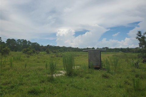 Terrain à vendre à Okeechobee, Floride № 1122445 - photo 1